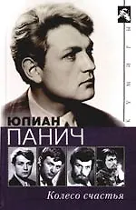 Купить Колесо счастья: Четыре жизни одного человека — Фото №1