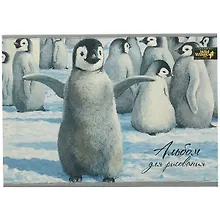 Купить Альбом для рисования Academy Style, Wild Wings, А4, 40 листов, на склейке, в ассортименте — Фото №1