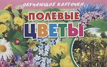 Купить Обучающие карточки "Полевые цветы" — Фото №1