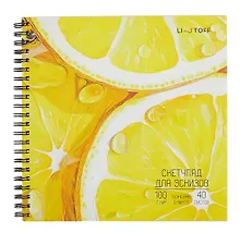 Купить Скетчбук 190*190 40л "Сочно" 100г/м2, мел.картон, выб.лак, евроспираль — Фото №1