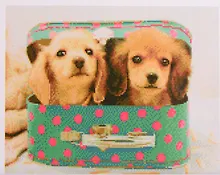 Купить Алмазная мозаика ТМ Рыжий кот (класс.) 40х50см (28цв.) Милые щенки AC4064 — Фото №1