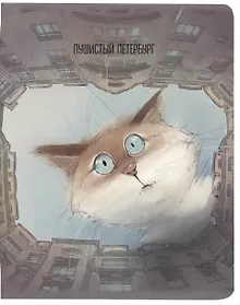 Купить Тетрадь в клетку Знаковые сувениры, "Чувиляева. Кот Арсений и двор-колодец", 48 листов — Фото №1