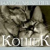 Купить Большая книга кошек — Фото №1