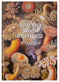 Купить Красота форм в природе. Э. Геккель — Фото №1