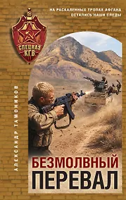 Купить Безмолвный перевал — Фото №1