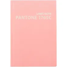 Купить Записная книжка А6+ 80л лин. "Pantone line. 6" интегр.переплет, мат.ламинация, выб.лак, пантон.печать — Фото №1