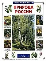 Купить Природа России — Фото №1