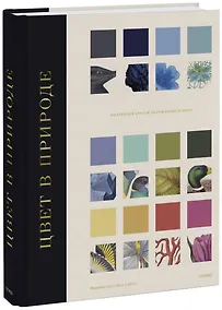 Купить Цвет в природе. Коллекция красок окружающего мира — Фото №1
