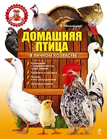 Купить Домашняя птица в личном хозяйстве — Фото №1