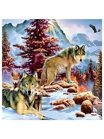 Купить Алмазная мозаика MAZARI Семья волков в горах , 30х30см (рама 28.8х28.8 см) частичная выкладка, стразы разного размера — Фото №1