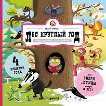 Купить Лес круглый год — Фото №1