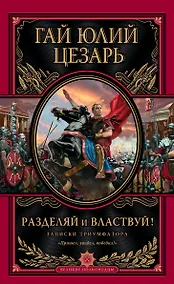 Купить Разделяй и властвуй! Записки триумфатора — Фото №1