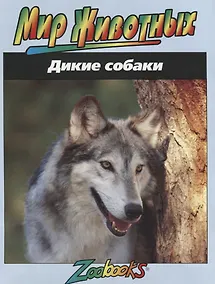 Купить Дикие собаки — Фото №1
