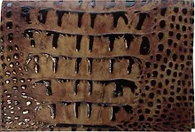 Купить Обложка для паспорта нат.кожа, светло-коричн, крокодил лак, тип 1.1, Спейс — Фото №1