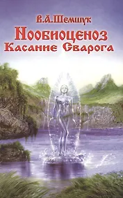 Купить Нообиоценоз. Касание Сварога. — Фото №1