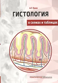 Купить Гистология в схемах и таблицах: учебное пособие. — Фото №1