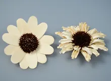 Купить Природный декор, Астра (2шт*7см) блистер — Фото №1