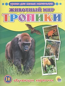 Купить Животный мир. Тропики — Фото №1