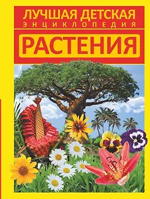 Купить Растения — Фото №1
