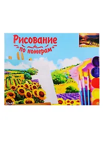 Купить Набор для раскрашивания по номерам ТМ Рыжий Кот Холст Живописная дорога 30х40см Х-9137 — Фото №1