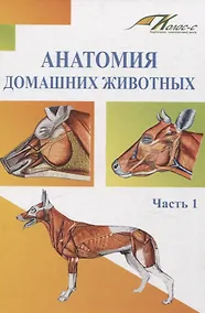 Купить Анатомия домашних животных. Часть 1 — Фото №1