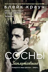 Купить Сосны. Заплутавшие — Фото №1