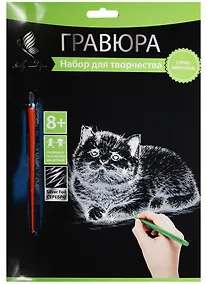 Купить Набор д/творч. Гравюра серебро Котенок (HY340001123s) (18х24 см)(8+) (Hobby and you) — Фото №1