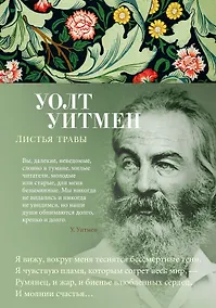 Купить Листья травы — Фото №1