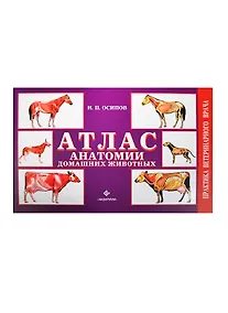 Купить Атлас анатомии домашних животных (цвет.) — Фото №1