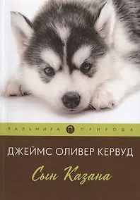 Купить Сын Казана — Фото №1