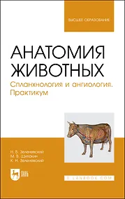 Купить Анатомия животных. Спланхнология и ангиология. Практикум. Учебное пособие для вузов — Фото №1