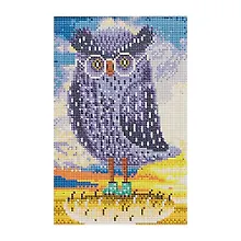 Купить Алмазная мозаика (класс) Милая совушка (AC22096) (22х32см) (20цв) (с подр.,с полн.зап.) (Рыжий Кот) (6+) (коробка) — Фото №1