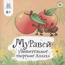 Купить Муравей - удивительное творение Аллаха — Фото №1