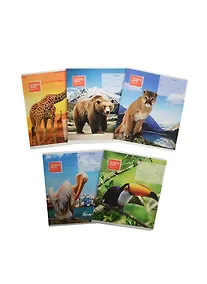 Купить Тетрадь в линейку ПЗБФ, "Удивительная планета", 18 листов, в ассортименте — Фото №1