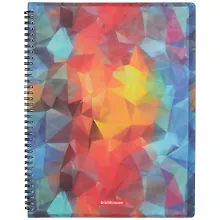 Купить Папка 20ф А4 "Dynamique" пластик, спираль, Erich Krause — Фото №1