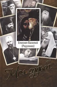 Купить Моя судьба — Фото №1