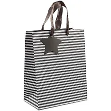 Купить Пакет А5 23*18*10 "Gray stripes" нейтр., бум.мат.ламинат — Фото №1