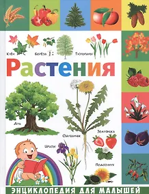 Купить Растения — Фото №1