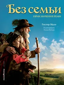 Купить Без семьи. Приключения Реми — Фото №1