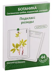 Купить Ботаника. Систематика грибов, водорослей, растений. Подкласс розиды. 44 карточки — Фото №1