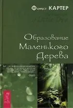 Купить Образование Маленького Дерева — Фото №1