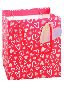 Купить Пакет А5 23*18*10 Magic Hearts жен., бум.мат.ламинат, голография, ассорти — Фото №1