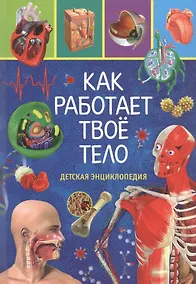 Купить Как работает твоё тело. Детская энциклопедия — Фото №1