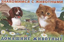 Купить Домашние животные — Фото №1