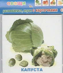 Купить Обучающие карточки Овощи (упаковка) (978-5-91282-664-1) — Фото №1