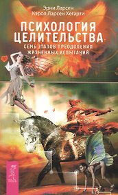 Купить Психология целительства. Семь этапов преодоления жизненных испытаний — Фото №1