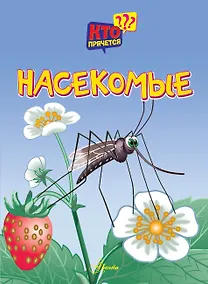 Купить Насекомые — Фото №1