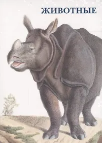 Купить Животные. Набор открыток — Фото №1