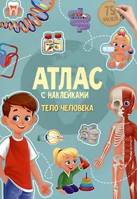 Купить Атлас с наклейками. Тело человека — Фото №1