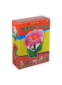 Купить Макси-пазлы Цветы (ПМ-1815) (6 картинок) (Рыжий кот) (3+) — Фото №1